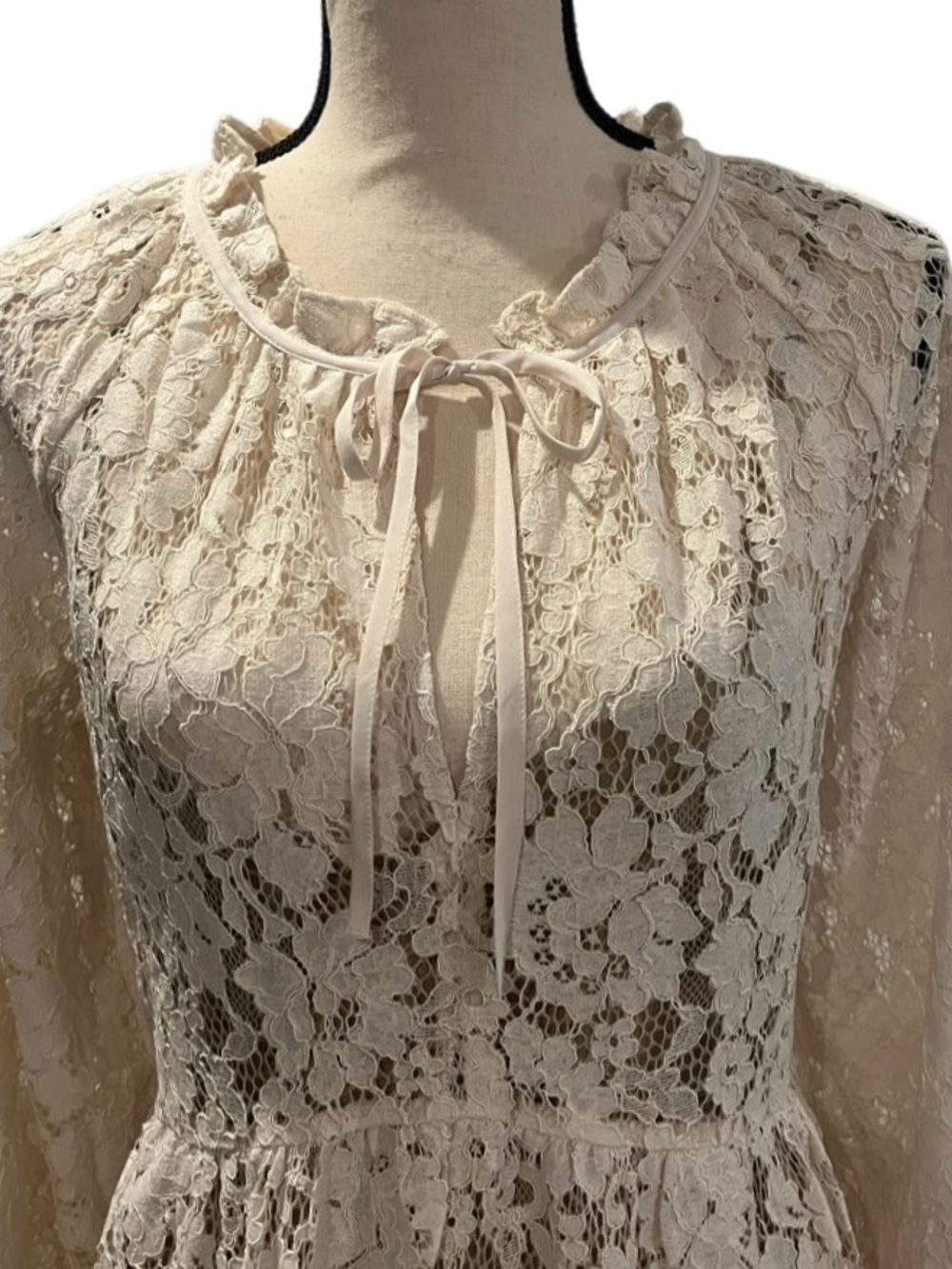 LOFT Floral Lace Tie-Neck Flounce Mini Dress - Picture 5 of 12